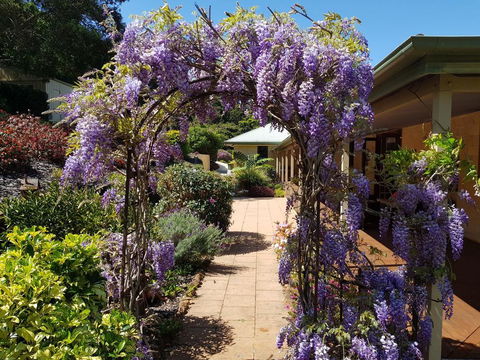 Gumtree House Montville - Accommodation in Bendigo 0