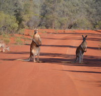 Gundabooka National Park Cottages - Accommodation in Bendigo