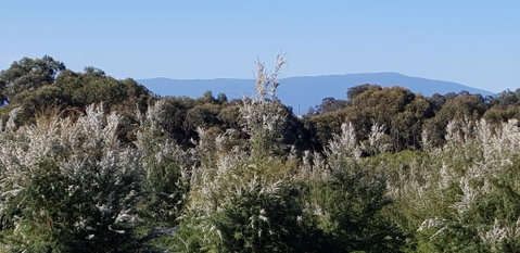 Hideaway Valley Farm - Accommodation in Bendigo 1