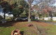 Hideaway Valley Farm - thumb 2