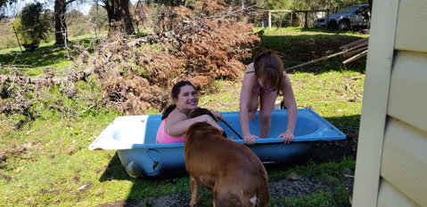 Hideaway Valley Farm - Accommodation in Bendigo 3