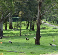 JAN'S ART STUDIO AT ASHBY RISE - Accommodation in Bendigo