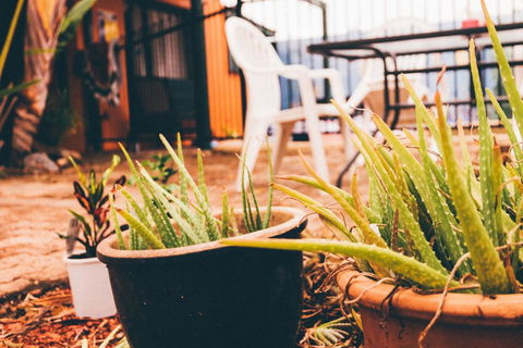 JJs Backpackers Hostel - Accommodation in Bendigo 2