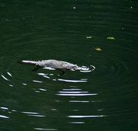 Kaalba - Accommodation in Bendigo