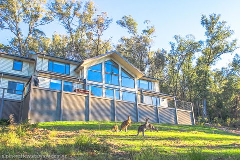 Kangaroo Lodge - Accommodation in Bendigo 1