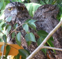 Karma Cottage - Accommodation in Bendigo