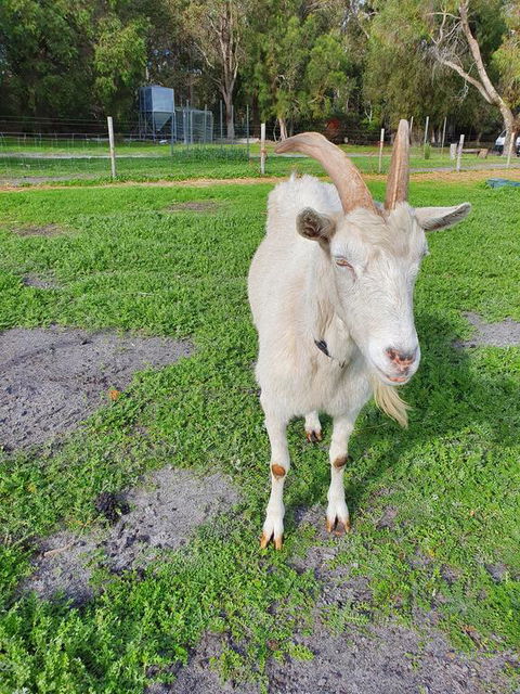 Kerriley Park FarmStay - Accommodation in Bendigo 2