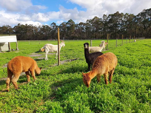 Kerriley Park FarmStay - Accommodation in Bendigo 3