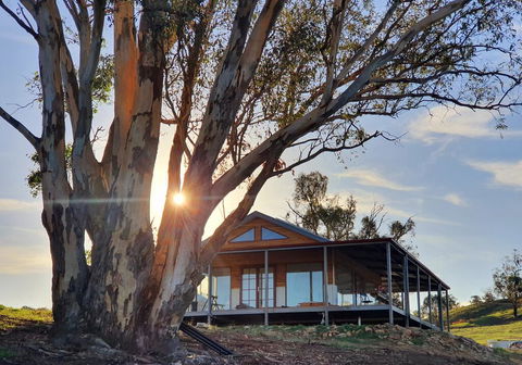 Kestrel Nest EcoHut - Accommodation in Bendigo 0
