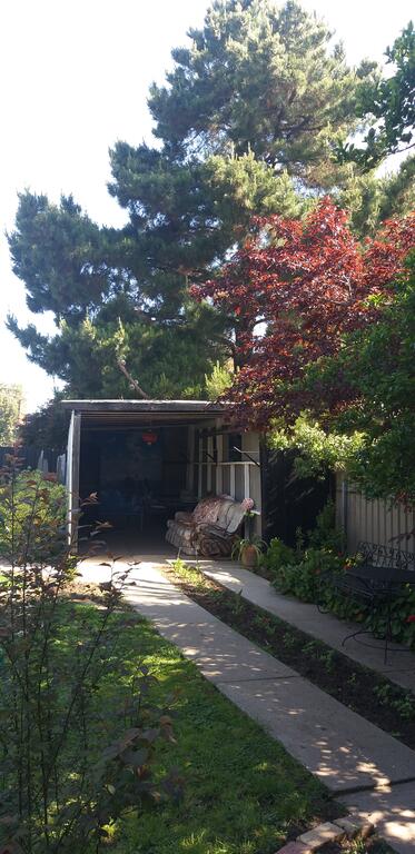 Large Groups Peaceful Happy Home - Accommodation in Bendigo 2