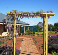 Lavendale Farmstay and Cottages York - Accommodation in Bendigo