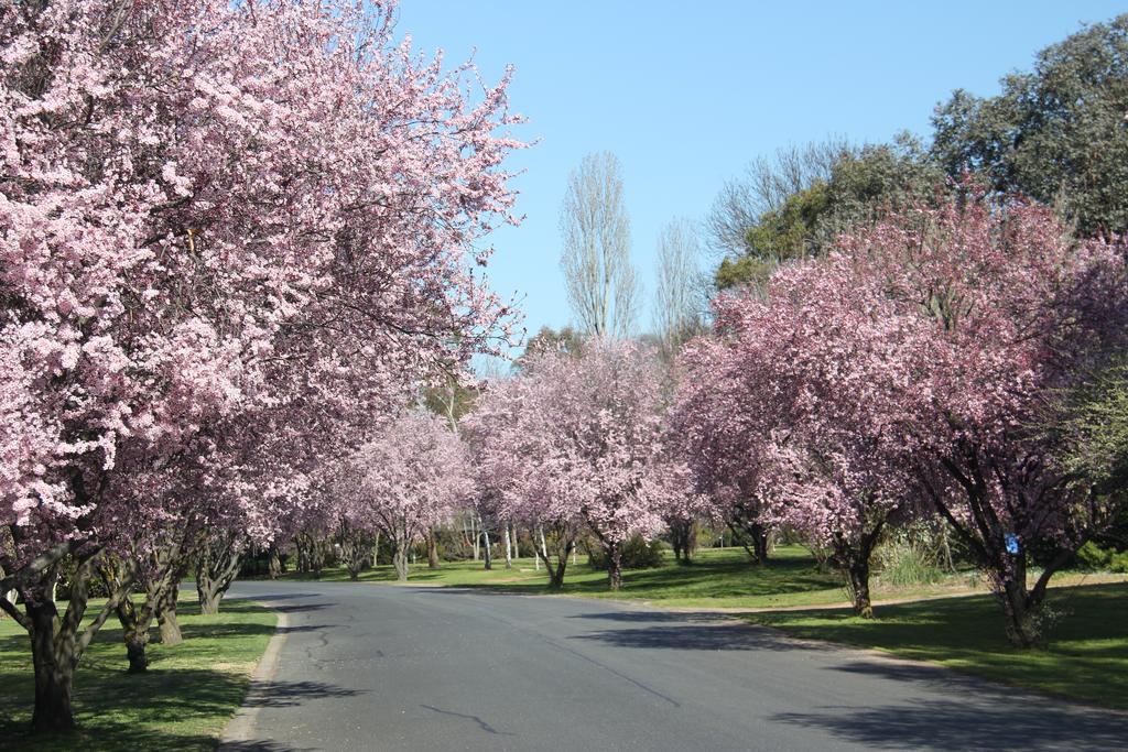 Kelso NSW Accommodation in Bendigo