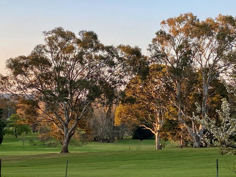 Links House - Accommodation in Bendigo 2