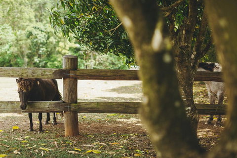 Mango Hill Farm - Accommodation in Bendigo 2