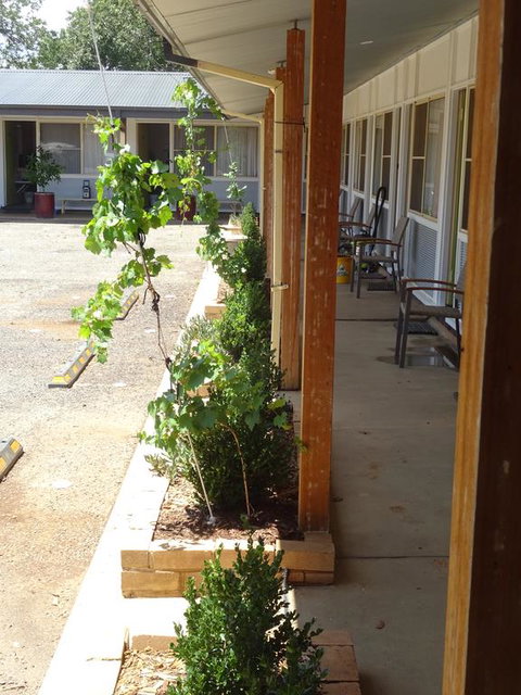 Memphis Motor Inn - Accommodation in Bendigo 3