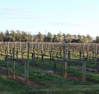 Milawa Vineyard Views - Guesthouse 2 - Accommodation in Bendigo