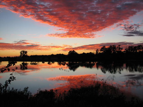 Moon River Motor Inn - Accommodation in Bendigo 0