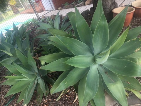 Motel Wingrove - Accommodation in Bendigo 2