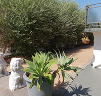 Mt.Lawley superb 2 BR Apartment Ideally located 5 - Accommodation in Bendigo