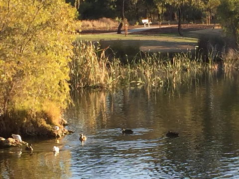 Lakeside Views - Accommodation in Bendigo 15