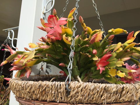 Lakeside Views - Accommodation in Bendigo 13