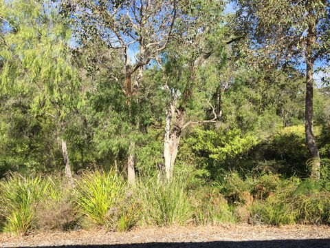 Cape Villas Dunsborough Unit 2 - Accommodation in Bendigo 26