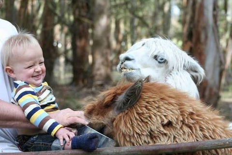 Margaret River Hideaway & Farmstay - Accommodation in Bendigo 21