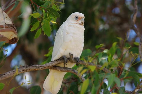 Margaret River Hideaway & Farmstay - Accommodation in Bendigo 26