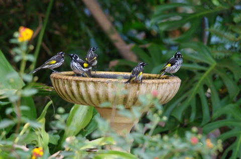 Margaret River Hideaway & Farmstay - Accommodation in Bendigo 30