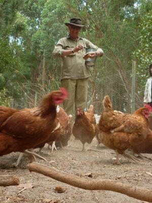 Margaret River Hideaway & Farmstay - Accommodation in Bendigo 28