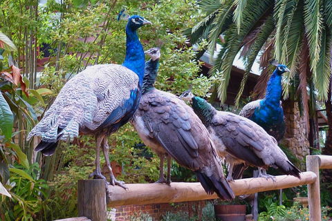 Margaret River Hideaway & Farmstay - Accommodation in Bendigo 19