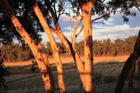 Hotham Ridge Estate - Accommodation in Bendigo 30