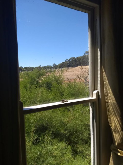 Hotham Ridge Estate - Accommodation in Bendigo 8