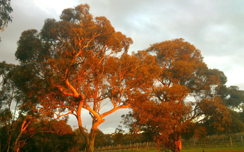 Hotham Ridge Estate - Accommodation in Bendigo 35