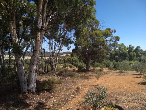 Hotham Ridge Estate - Accommodation in Bendigo 13