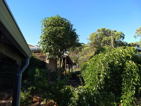 Hotham Ridge Estate - Accommodation in Bendigo 5