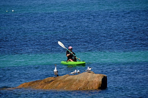 Sandpiper Retreat - Accommodation in Bendigo 29