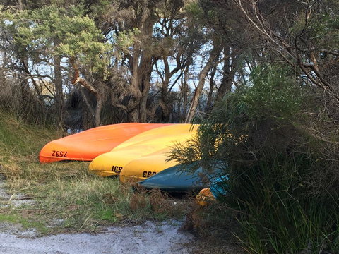 Riverside Retreat Chalets, Walpole - Accommodation in Bendigo 20