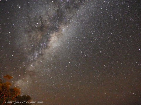 Riverside Retreat Chalets, Walpole - Accommodation in Bendigo 26