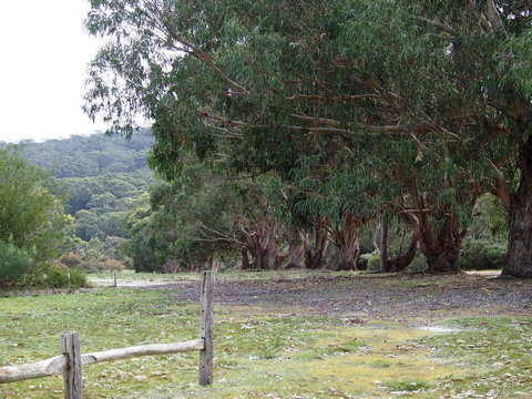 Riverside Retreat Chalets, Walpole - Accommodation in Bendigo 17