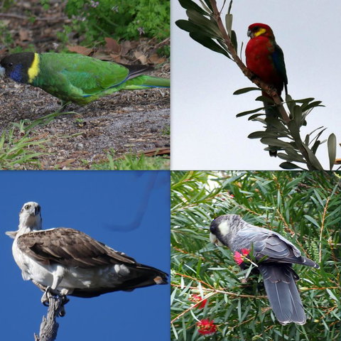 Riverside Retreat Chalets, Walpole - Accommodation in Bendigo 24