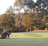 Riverside Retreat Chalets Walpole - Accommodation in Bendigo