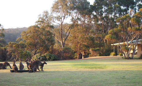 Riverside Retreat Chalets, Walpole - Accommodation in Bendigo 0