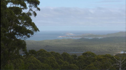 Riverside Retreat Chalets, Walpole - Accommodation in Bendigo 30