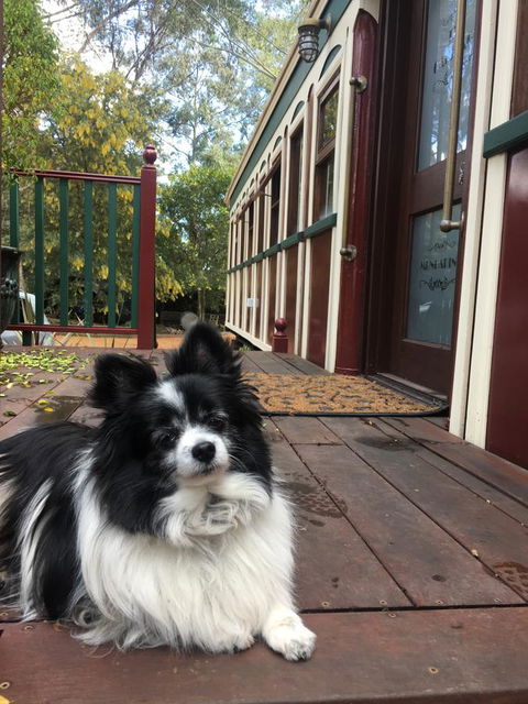 Quiet Escapes Cottages - Accommodation in Bendigo 15