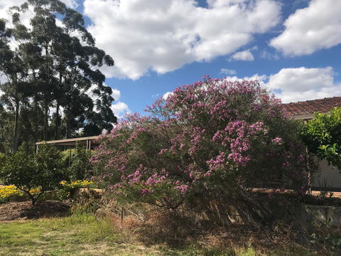 Cockburn Retreat Home æŸæ–¯æ‚ é–’æ°‘å®¿ - Accommodation in Bendigo 0