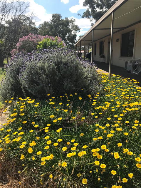 Cockburn Retreat Home æŸæ–¯æ‚ é–’æ°‘å®¿ - Accommodation in Bendigo 3