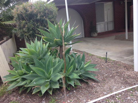 â˜… Stylish Family Home! â˜… - Accommodation in Bendigo 2