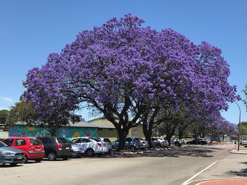 Gerring Court With Free 1 Car Bay Parking - Accommodation in Bendigo 20