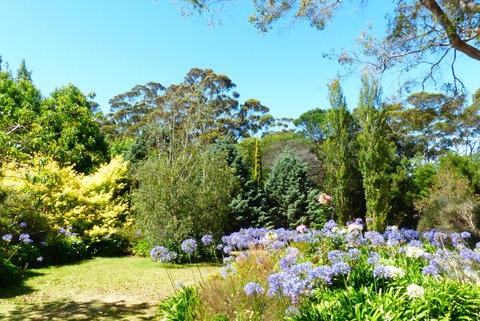 Innisfree Mountain Retreat - Accommodation in Bendigo 1